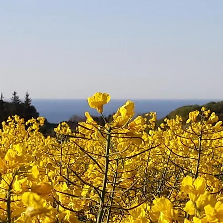 Im Nationalpark Jasmund Gæstehus