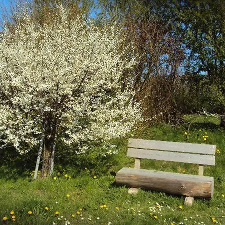 Casa de hóspedes Im Nationalpark Jasmund