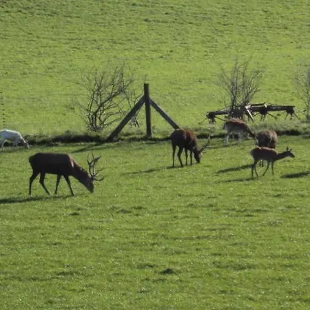 Im Nationalpark Jasmund Hagen (Rugen)