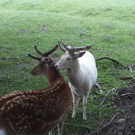 Im Nationalpark Jasmund