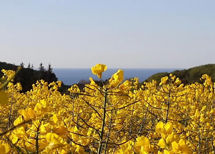Im Nationalpark Jasmund Affittacamere