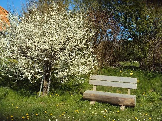 Affittacamere Im Nationalpark Jasmund