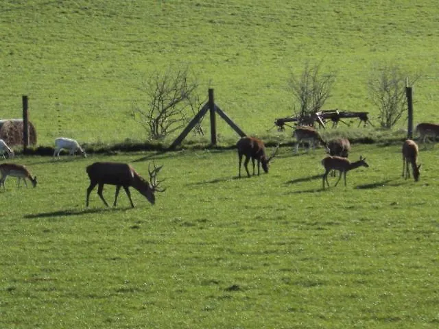 Im Nationalpark Jasmund Hagen (Rugen)