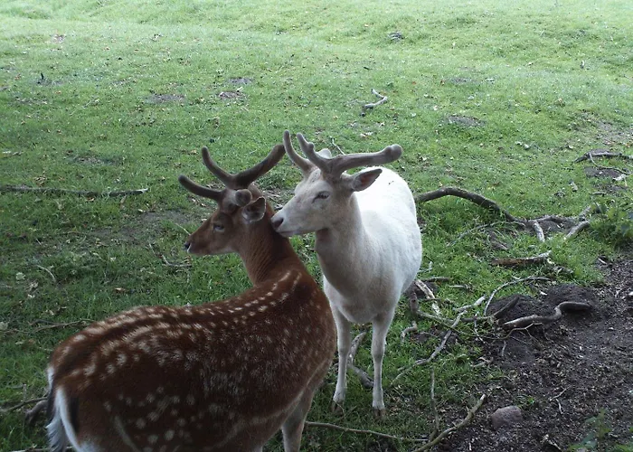 Im Nationalpark Jasmund