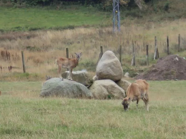 Im Nationalpark Jasmund